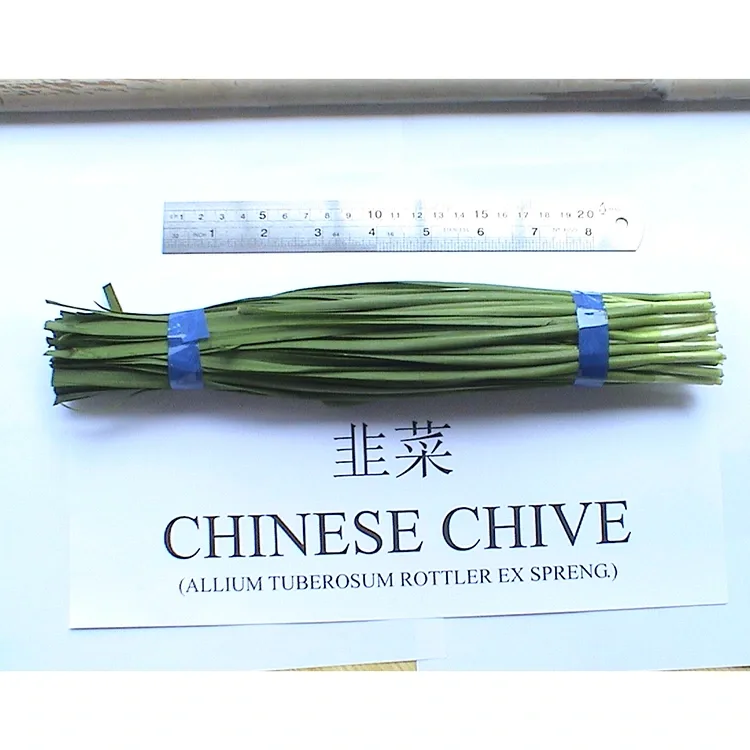 Tại sao hẹ tươi trang trại Trung Quốc được sử dụng rộng rãi trong ẩm thực châu Á?