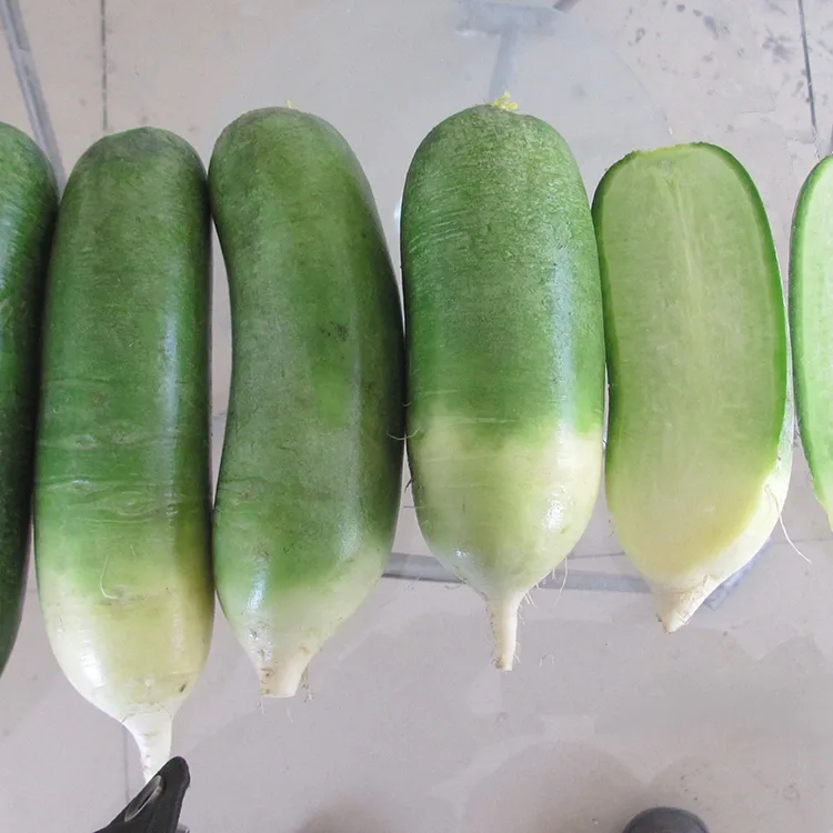 Củ cải xanh giòn
