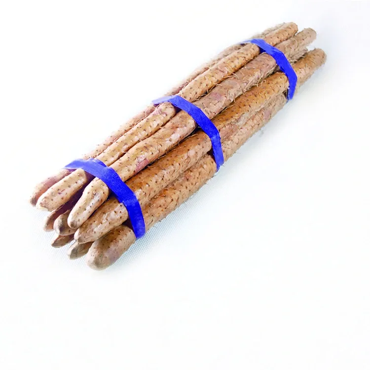Yam tươi Trung Quốc