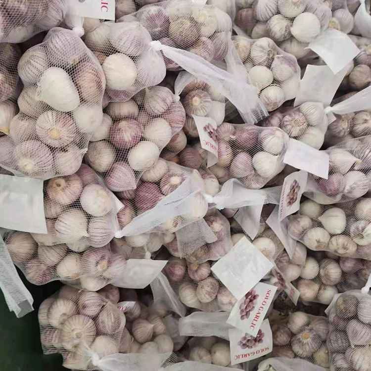 Tỏi một tép chất lượng cao
