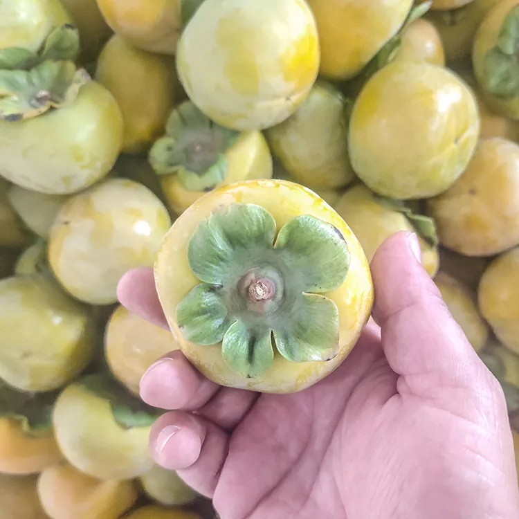 Hồng Tươi Giòn Cao Cấp