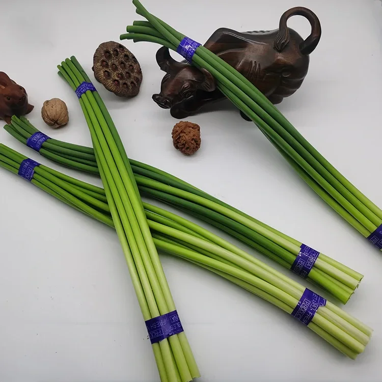 Tỏi tươi cao cấp