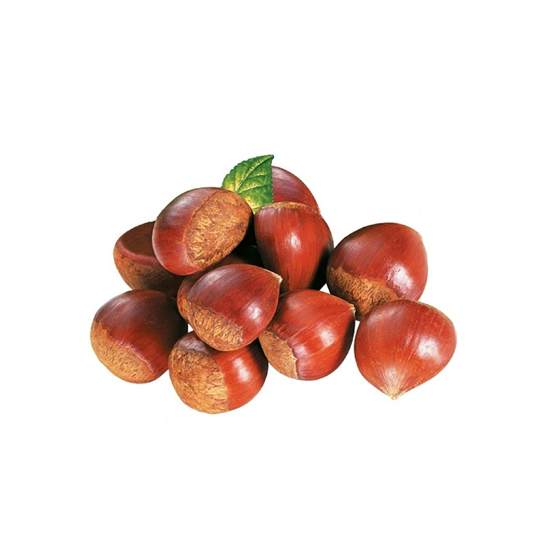 Hạt Dẻ Chất Lượng Cao Cấp