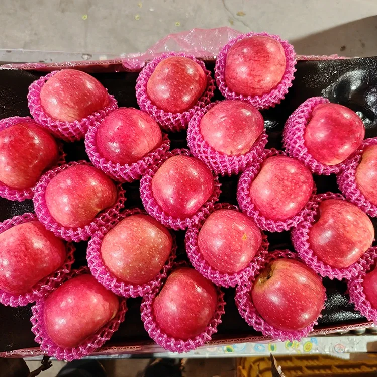 Táo Jiguan tươi cao cấp